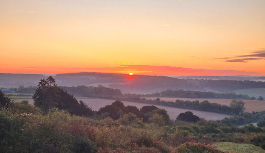 Test Valley (Andover, Stockbridge, Fordingbridge & Romsey)
